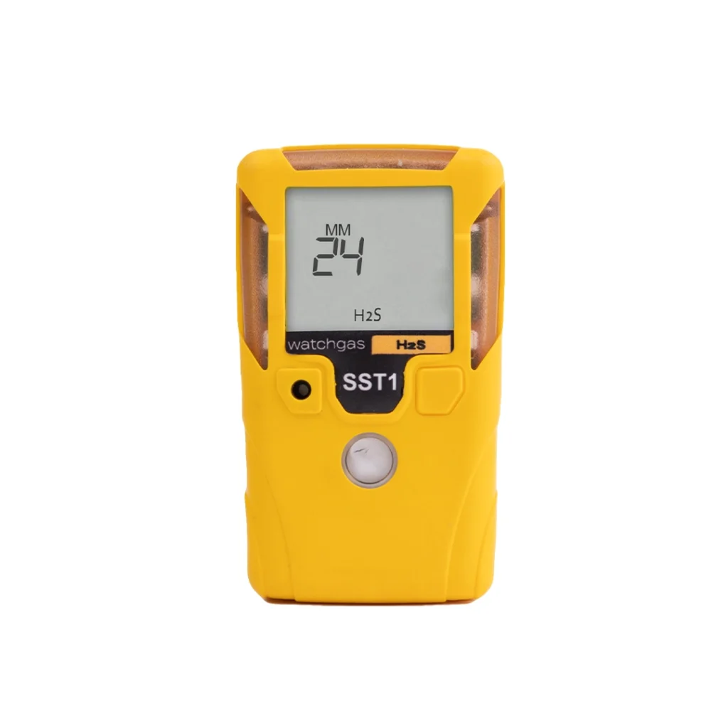 gas detector portatili 5