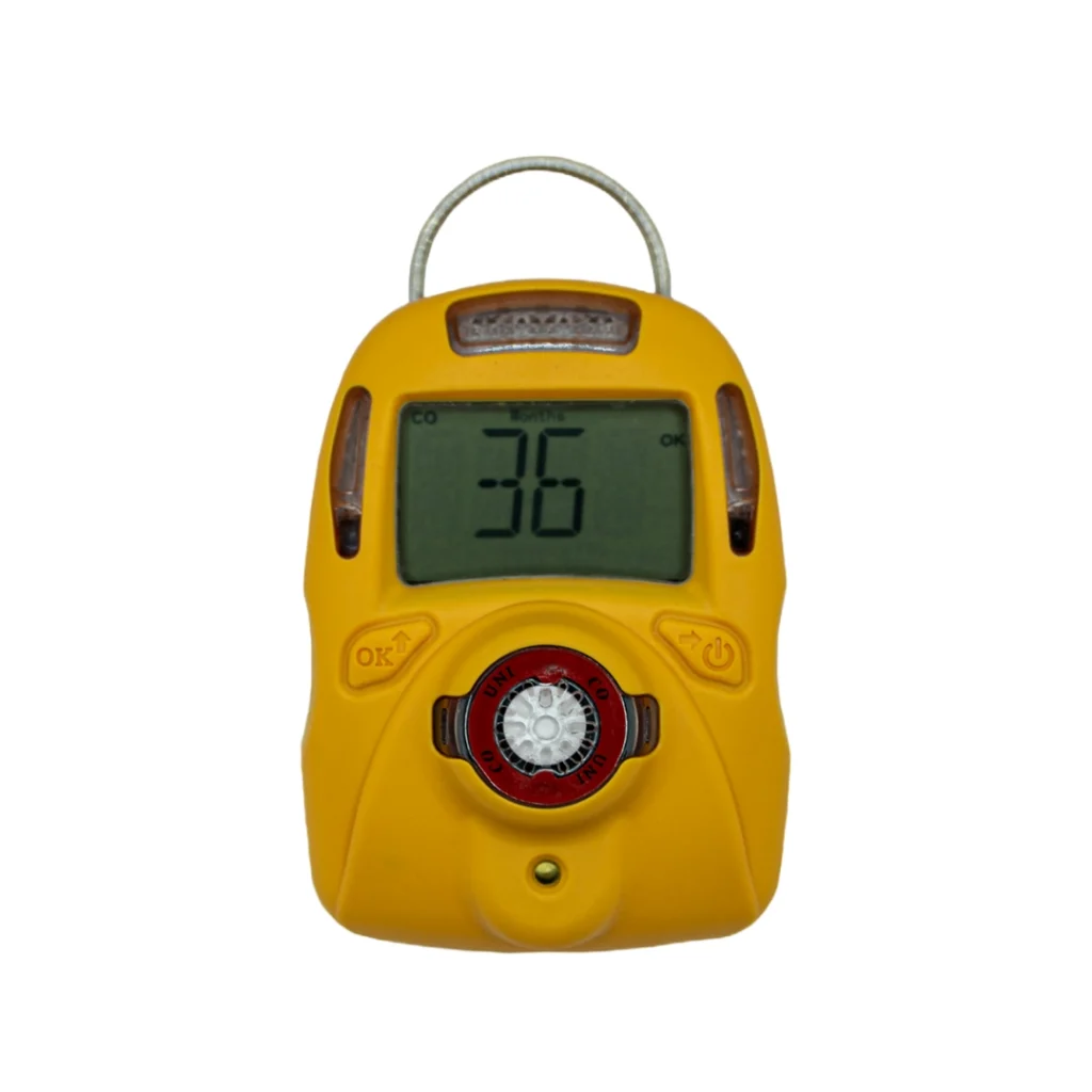 gas detector portatili 6